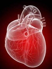 Kalp Deliği Belirtileri ve Tedavisi